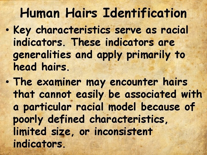 Human Hairs Identification • Key characteristics serve as racial indicators. These indicators are generalities