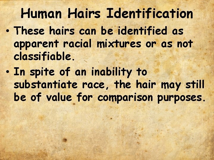 Human Hairs Identification • These hairs can be identified as apparent racial mixtures or