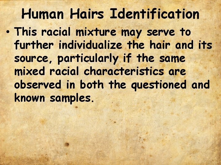 Human Hairs Identification • This racial mixture may serve to further individualize the hair