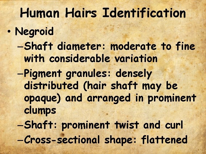 Human Hairs Identification • Negroid – Shaft diameter: moderate to fine with considerable variation