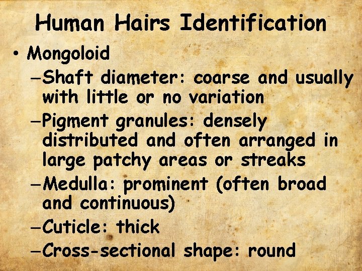 Human Hairs Identification • Mongoloid – Shaft diameter: coarse and usually with little or