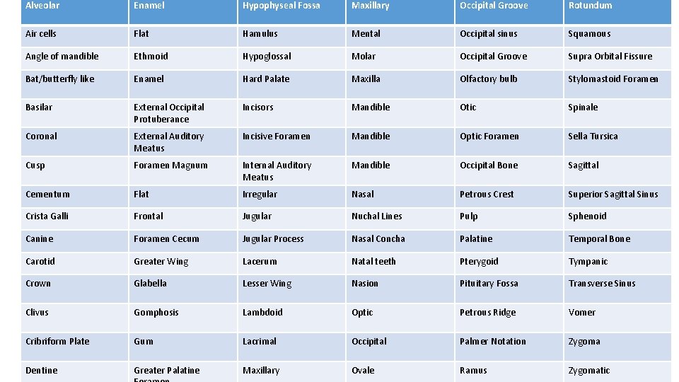 Alveolar Enamel Hypophyseal Fossa Maxillary Occipital Groove Rotundum Air cells Flat Hamulus Mental Occipital
