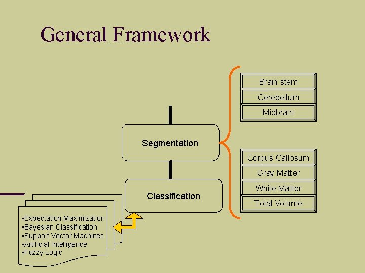 General Framework Brain stem Cerebellum Midbrain Segmentation Corpus Callosum Gray Matter Classification • Expectation