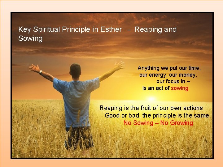Key Spiritual Principle in Esther - Reaping and Sowing Anything we put our time,