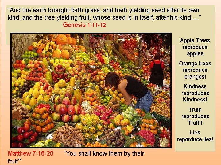 “And the earth brought forth grass, and herb yielding seed after its own kind,