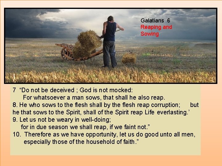 Galatians Chapter 6 Reaping and Sowing Galatians 6 Reaping and Sowing 7 “Do not