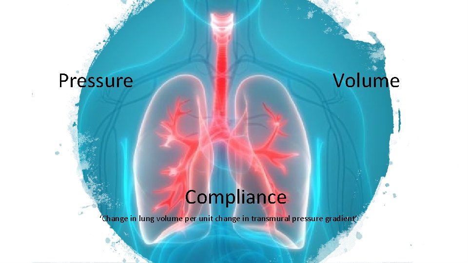 Pressure Volume Compliance ‘Change in lung volume per unit change in transmural pressure gradient’
