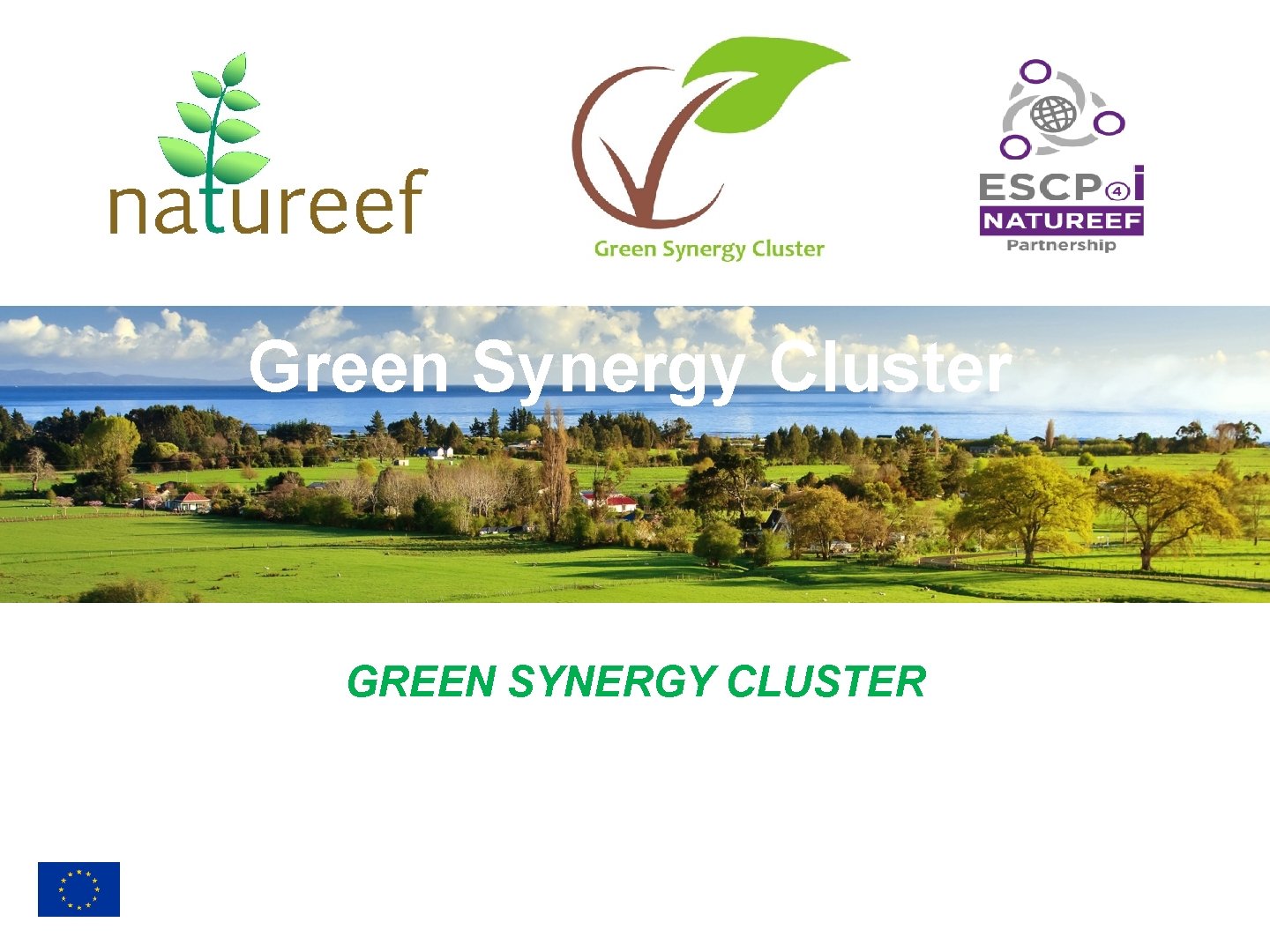Green Synergy Cluster GREEN SYNERGY CLUSTER 