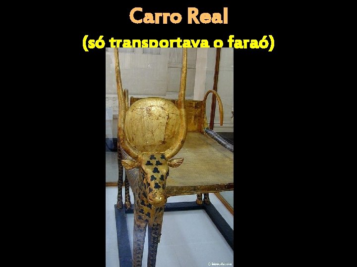 Carro Real (só transportava o faraó) 