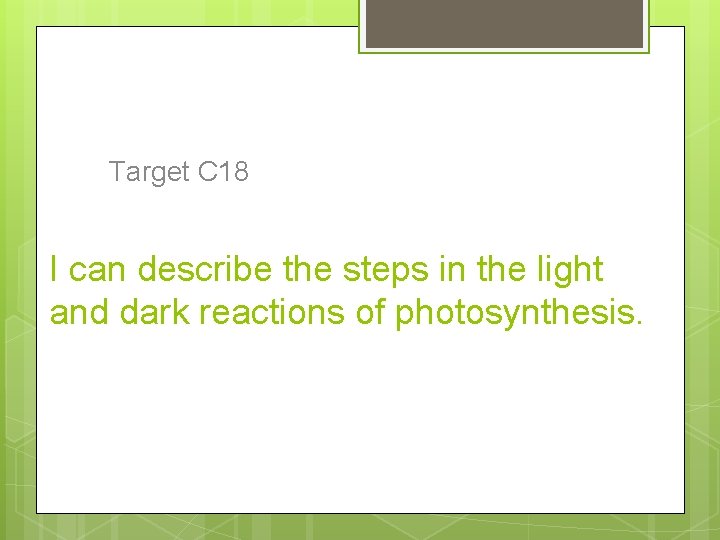 Target C 18 I can describe the steps in the light and dark reactions