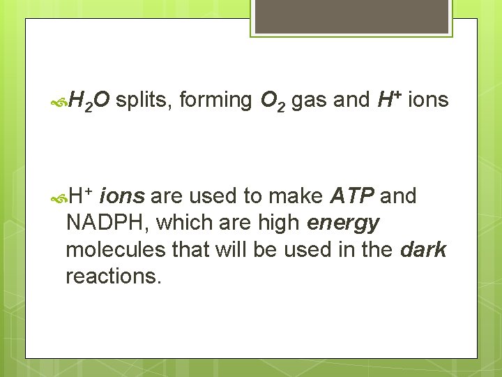  H 2 O H+ splits, forming O 2 gas and H+ ions are