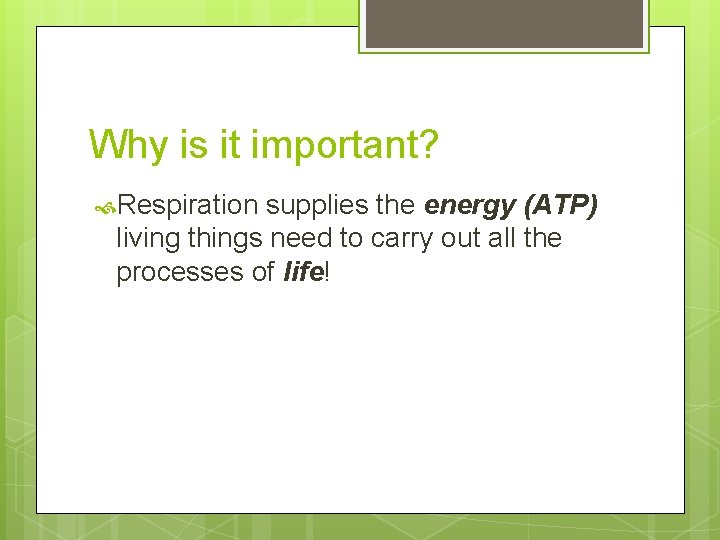 Why is it important? Respiration supplies the energy (ATP) living things need to carry