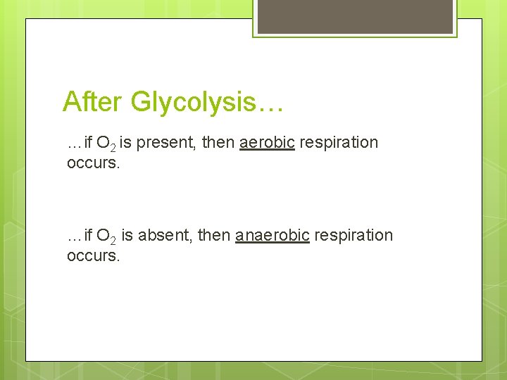 After Glycolysis… …if O 2 is present, then aerobic respiration occurs. …if O 2