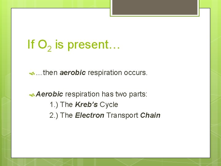 If O 2 is present… …then aerobic respiration occurs. Aerobic respiration has two parts: