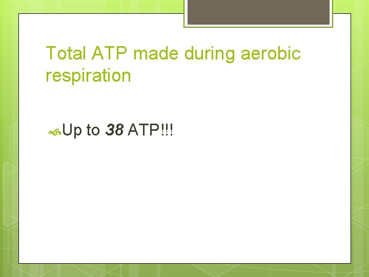 Total ATP made during aerobic respiration Up to 38 ATP!!! 