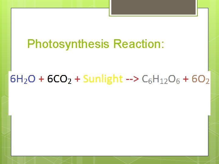 Photosynthesis Reaction: 