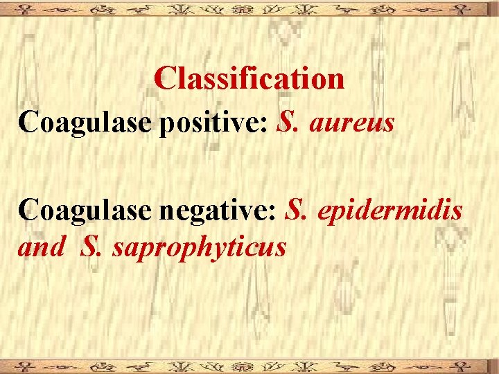 Classification Coagulase positive: S. aureus Coagulase negative: S. epidermidis and S. saprophyticus 