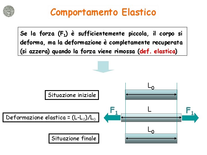 Comportamento Elastico Se la forza (F 1) è sufficientemente piccola, il corpo si deforma,