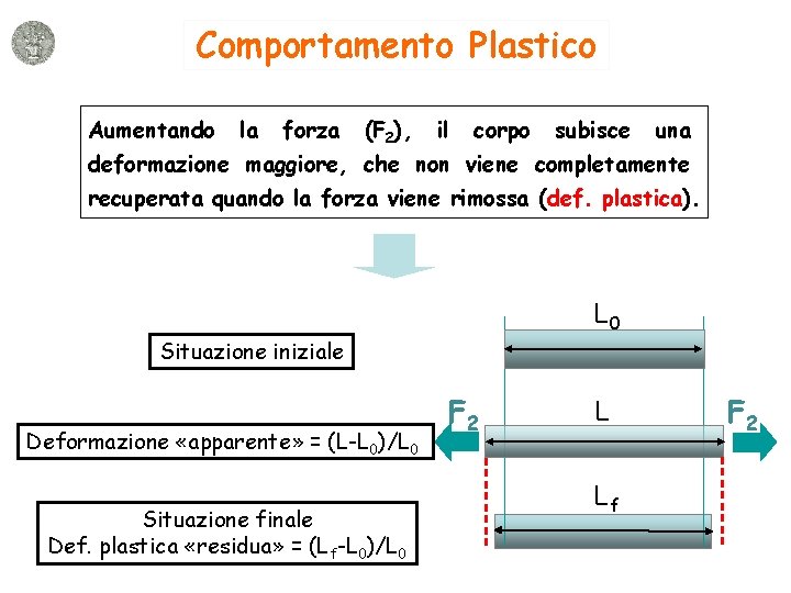 Comportamento Plastico Aumentando la forza (F 2), il corpo subisce una deformazione maggiore, che