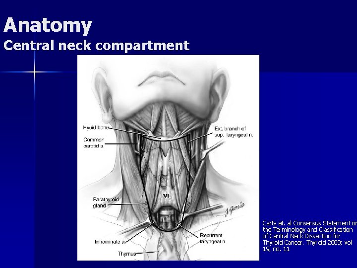 Anatomy Central neck compartment n Carty et. al Consensus Statement on the Terminology and Anatomy Central neck compartment n Carty et. al Consensus Statement on the Terminology and