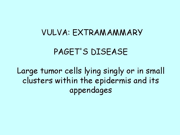 VULVA: EXTRAMAMMARY PAGET'S DISEASE Large tumor cells lying singly or in small clusters within