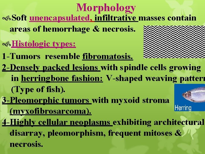 Morphology Soft unencapsulated, infiltrative masses contain areas of hemorrhage & necrosis. Histologic types: 1