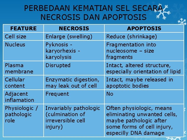 PERBEDAAN KEMATIAN SEL SECARA NECROSIS DAN APOPTOSIS FEATURE NECROSIS APOPTOSIS Cell size Enlarge (swelling)