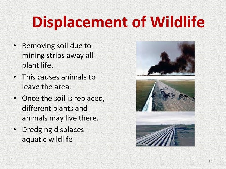 Displacement of Wildlife • Removing soil due to mining strips away all plant life.