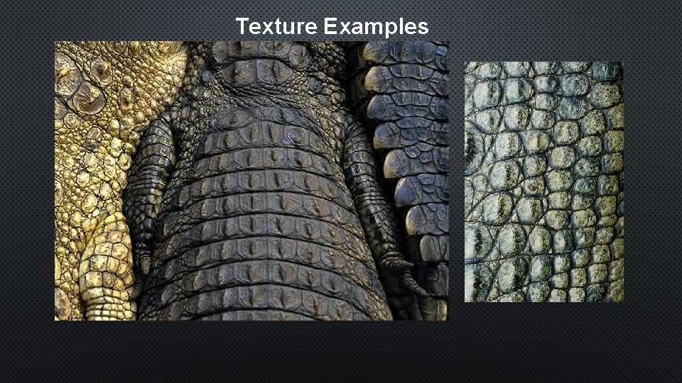 Texture Examples 