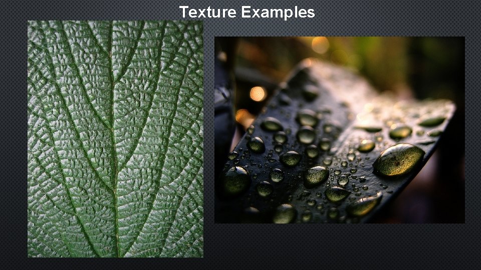 Texture Examples 