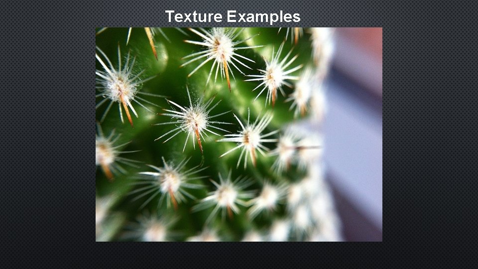 Texture Examples 