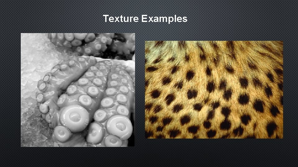 Texture Examples 