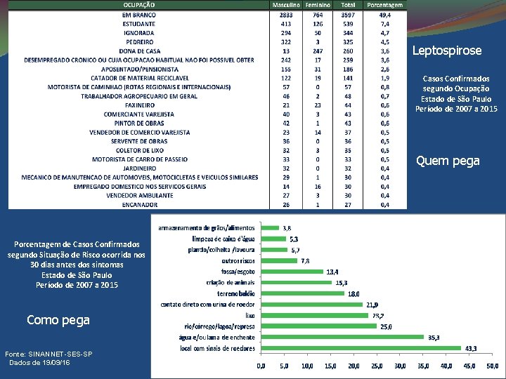 Leptospirose Casos Confirmados segundo Ocupação Estado de São Paulo Período de 2007 a 2015