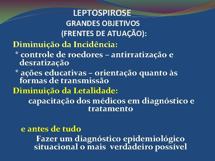 LEPTOSPIROSE GRANDES OBJETIVOS (FRENTES DE ATUAÇÃO): Diminuição da Incidência: * controle de roedores –