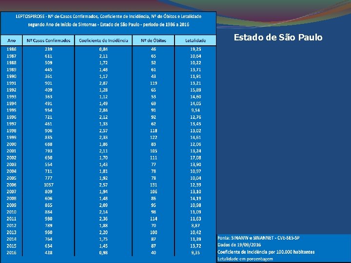 Estado de São Paulo 