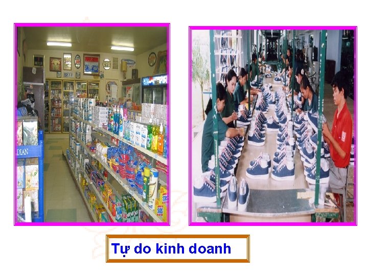 Tự do kinh doanh 