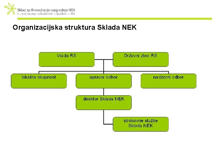 Organizacijska struktura Sklada NEK 