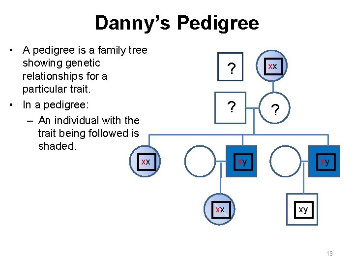 Danny’s Pedigree • A pedigree is a family tree showing genetic relationships for a Danny’s Pedigree • A pedigree is a family tree showing genetic relationships for a