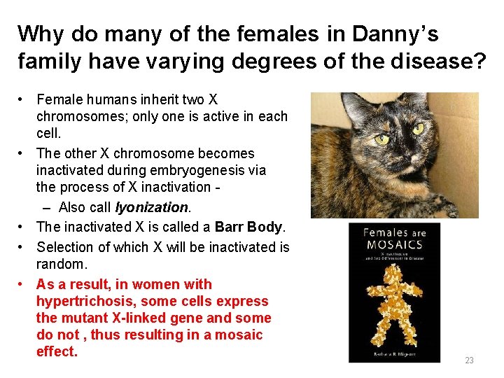 Why do many of the females in Danny’s family have varying degrees of the Why do many of the females in Danny’s family have varying degrees of the