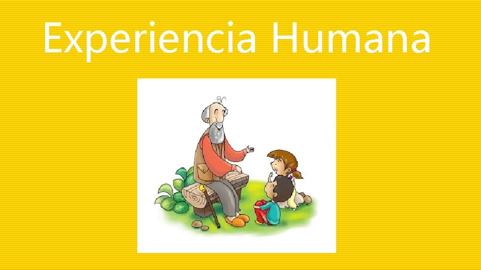 Experiencia Humana 