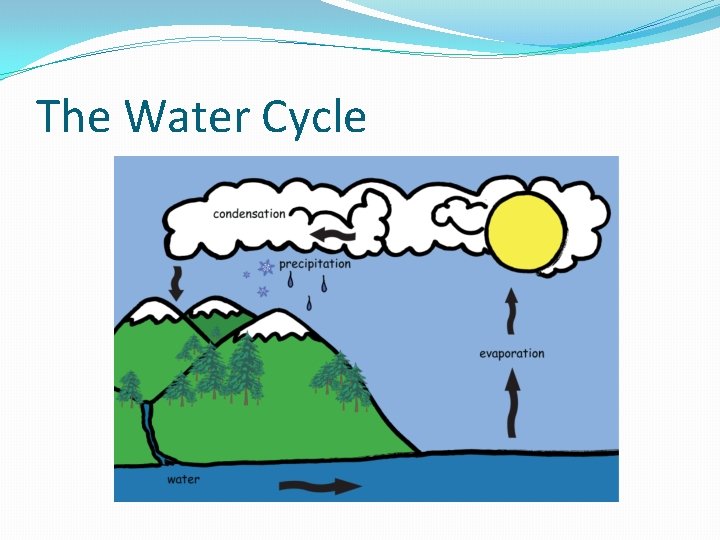 The Water Cycle 