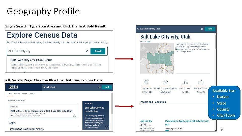 Geography Profile Single Search: Type Your Area and Click the First Bold Result All