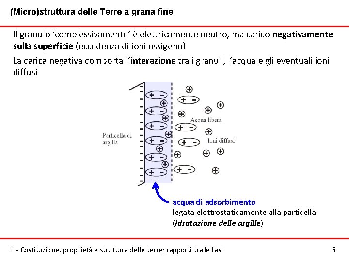 (Micro)struttura delle Terre a grana fine Il granulo ‘complessivamente’ è elettricamente neutro, ma carico