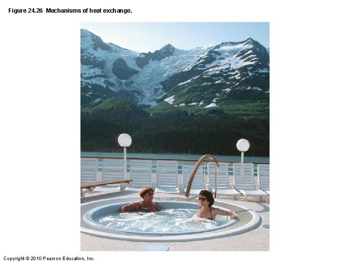 Figure 24. 26 Mechanisms of heat exchange. Copyright © 2010 Pearson Education, Inc. 