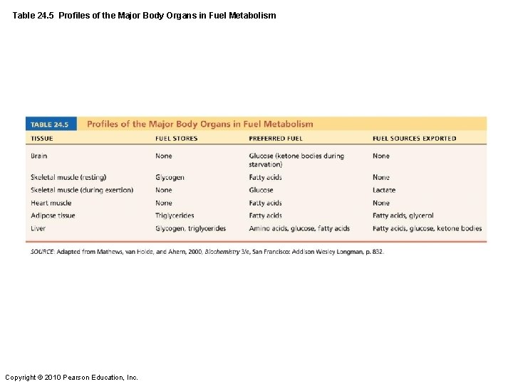 Table 24. 5 Profiles of the Major Body Organs in Fuel Metabolism Copyright ©