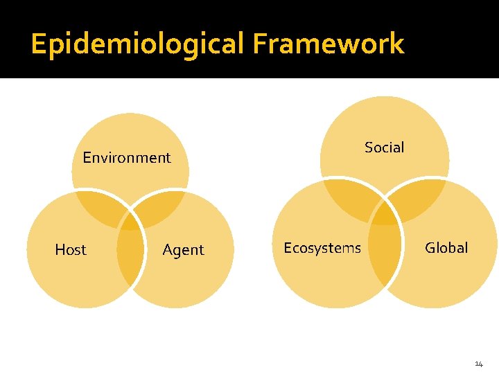 Epidemiological Framework Social Environment Host Agent Ecosystems Global 14 