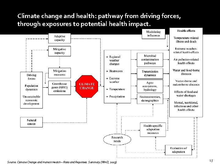 Climate change and health: pathway from driving forces, through exposures to potential health impact.