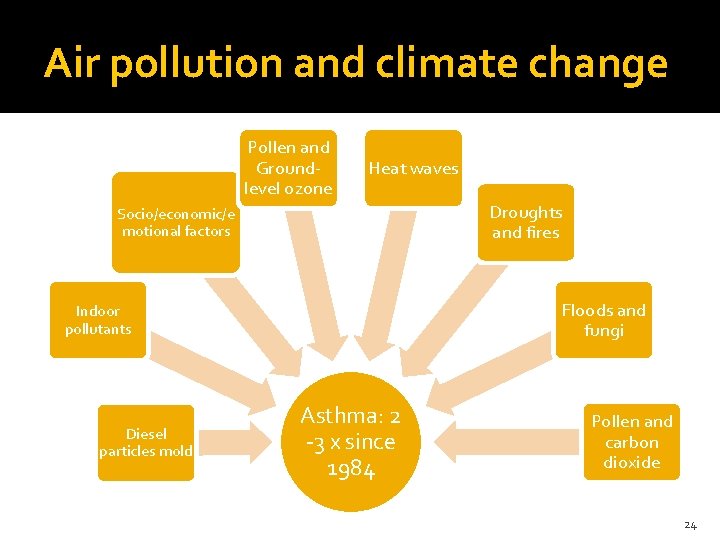 Air pollution and climate change Pollen and Groundlevel ozone Heat waves Droughts and fires