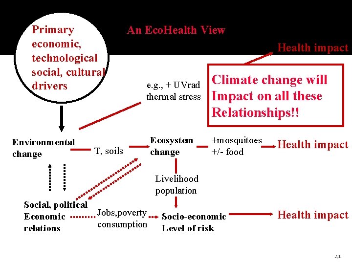 Primary economic, technological social, cultural drivers Environmental change An Eco. Health View Health impact