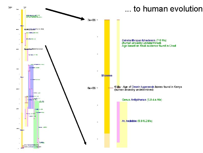 . . . to human evolution 